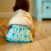 ###eveildeprincesse