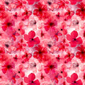 image insert modal coton eclosion carmin